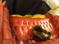 IMG 001577
